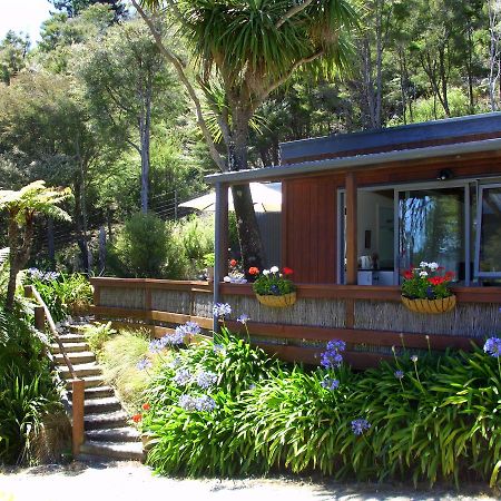 Cabbage Tree Chalet Parapara Rom bilde
