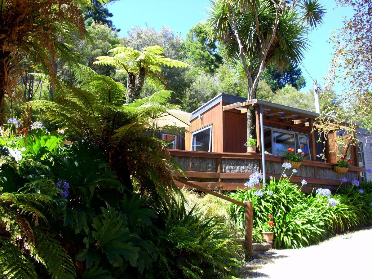 Cabbage Tree Chalet Parapara Rom bilde